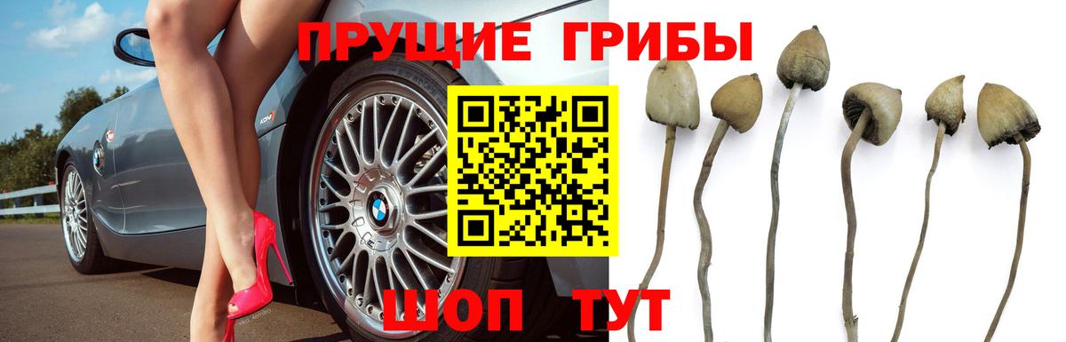 Галлюциногенные грибы Magic Shrooms Сибай